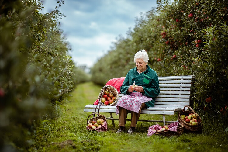 Brievenbustaarten als geschenk